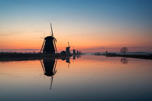 Windmolens in de ochtend