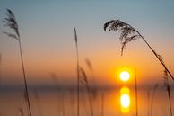 Zonsondergang Chiemsee van Maik Richter thumbnail