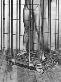 Naked man standing in a roll container #9135 by Photostudioholland