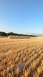 Strohballen bei Nadelitz, Erntezeit auf Rügen von GH Foto & Artdesign