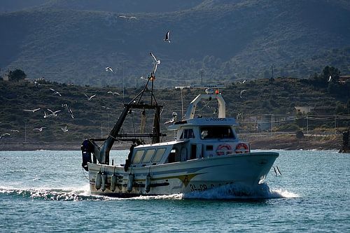 bateau de pêche avec des mouettes sur joyce kool