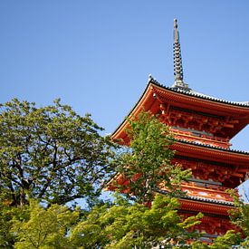 Prachtige tempel in Kyoto - Japan. van M. Beun