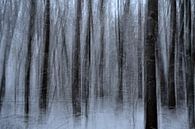 Gemengd bos in de winter van Oliver Lahrem thumbnail
