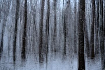Gemengd bos in de winter van Oliver Lahrem