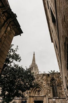 Lane in Barcelona by Marjolein Dieleman