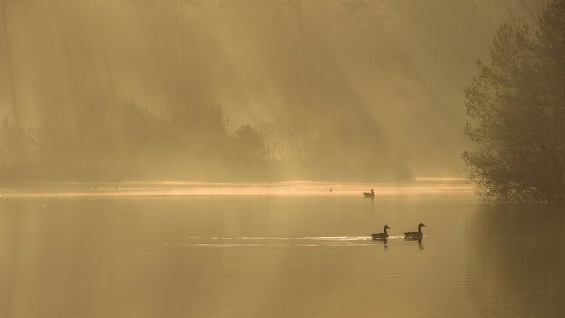 Oisterwijk fens by Elles Rijsdijk