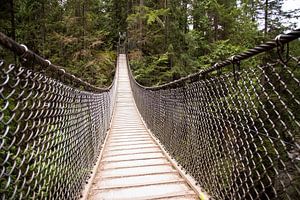 Pont suspendu près de Vancouver 