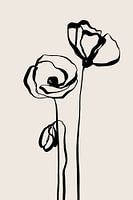 Poppy 01
