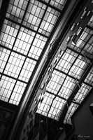 Mirror antwerpen