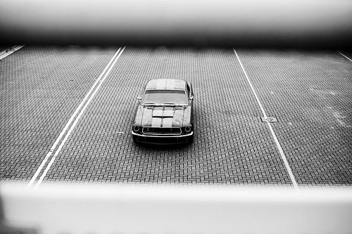 “Whether you think you can, or you think you can't--you're right.” ~ Henry Ford