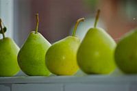 Peren
