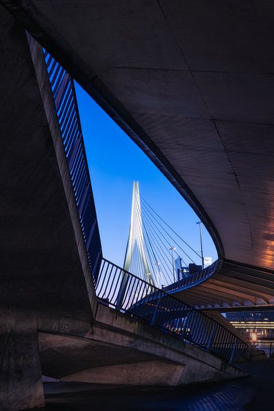 Erasmus-Brückenarchitektur Rotterdam von Vincent Fennis