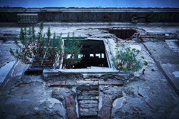 fenêtre envahie par la végétation d'un hôtel abandonné sur Karel Ham