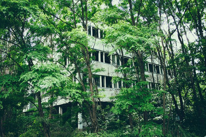 Die Natur übernimmt, versteckte Stadt Pripyat von Caught By Light
