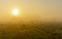 Chevaux dans un paysage brumeux