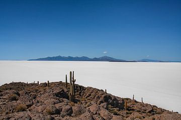 Salinen von Uyuni und die Insel Incahuasi