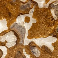 Small dog - Ice structure