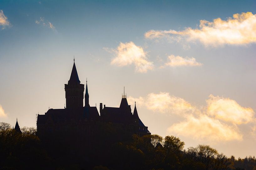 Castle in Wernigerode by Martin Wasilewski