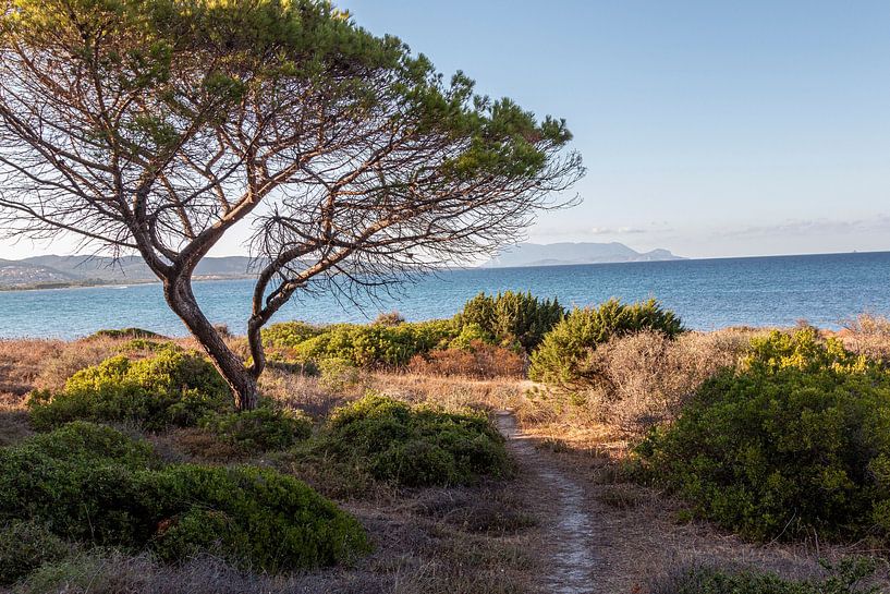 Plage de Busoni par Thomas Heitz