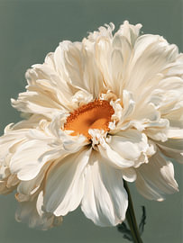 White Flower Bloom by IamHomeStudio