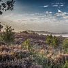 Heide op de Posbank in Rheden van Karlo Bolder