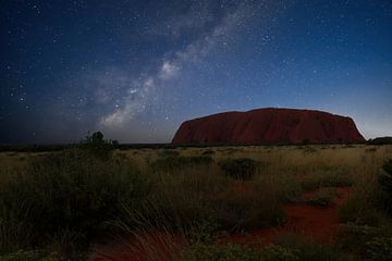 Terre ancienne, lumière ancienne sur Laura Krol