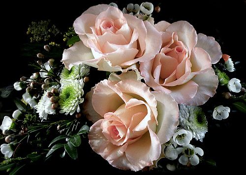 Rozen van porselein (kleur)