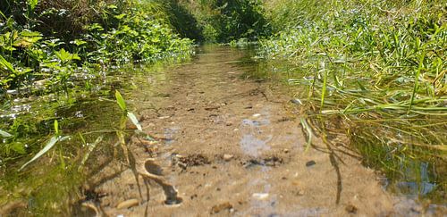 Small stream