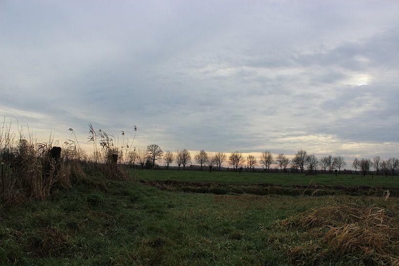 polderlandschap van Aart van Maren