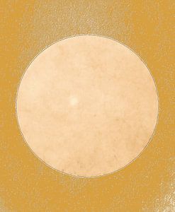 Mond in Sanftem Licht in Naturfarben