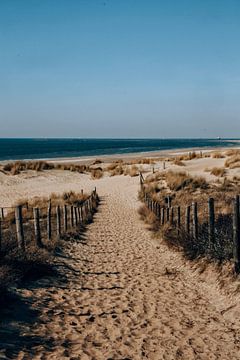Strand in Nederland van Yuliya Yarmolich