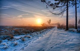 Foggy sunrise 1 von Natascha IPenD