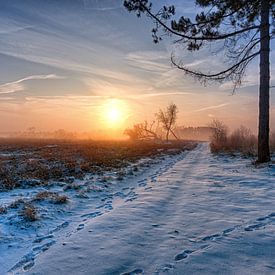 Foggy sunrise 1 sur Natascha IPenD