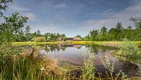 Boele's Poele in the Curringherveld nature reserve in Kornhorn (Westerkwartier) by Martijn van Dellen thumbnail