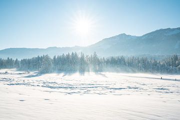 Winteruitzicht op de Allgäuer Alpen van Leo Schindzielorz