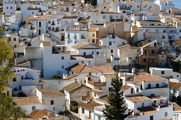 Wit dorp, ‎⁨Viñuela⁩, ⁨Málaga⁩, ⁨Spanje⁩ van Eugenio Eijck