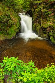 Geroldsauer Wasserfall, Schwarzwald, Deutschland von Markus Lange