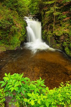 Geroldsau Waterval, Zwarte Woud, Duitsland van Markus Lange