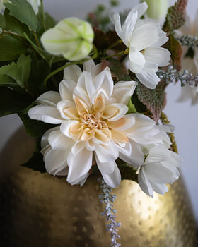 Stille Blüte