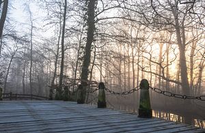 Hemmensebos Teil 51