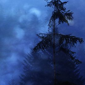 nächtlicher wald - night forest von Susann Serfezi