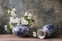 White blossom in blue vases