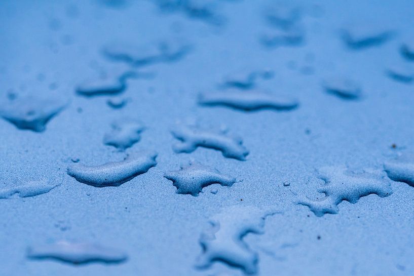 Waterdruppels van Dieter Walther