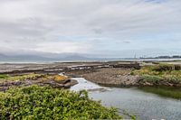 Ierland | Baai kleur