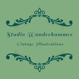 Studio Wunderkammer photo de profil