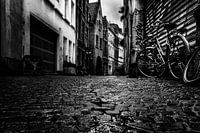 Moody Antwerpen