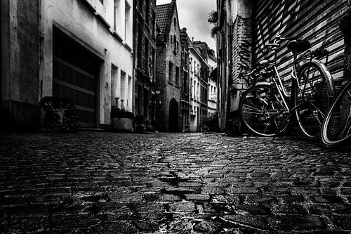 moody Antwerpen