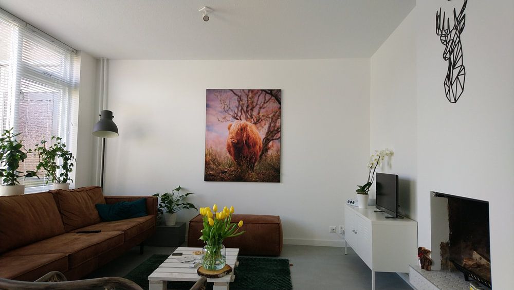 Highlander écossais par Ton Drijfhamer