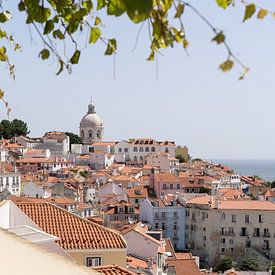 Ansicht Jardim Júlio de Castilho, Lissabon von Xulé Bogers