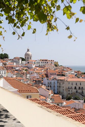 Uitzicht Jardim Júlio de Castilho, Lissabon van Xulé Bogers